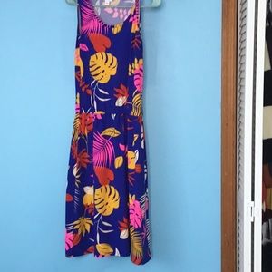 LuLaRue dress